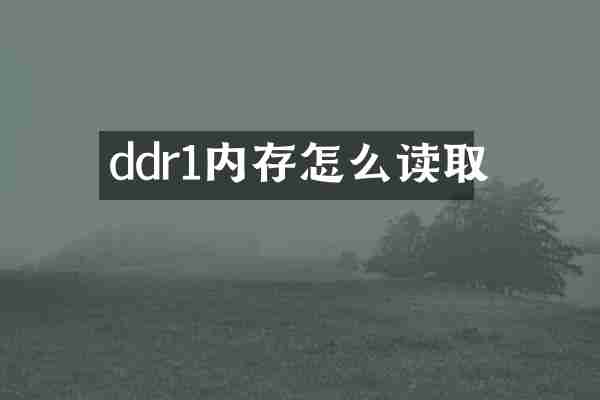 ddr1内存怎么读取