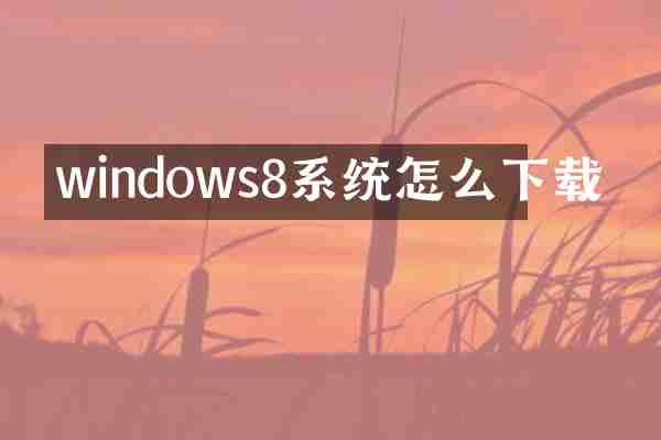 windows8系统怎么下载