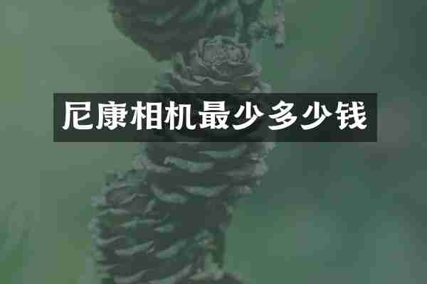 尼康相机最少多少钱