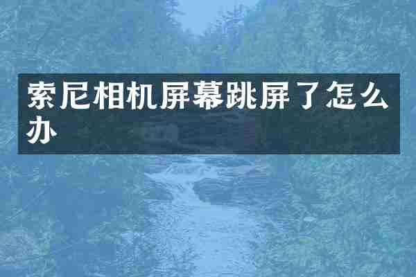 索尼相机屏幕跳屏了怎么办