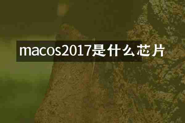 macos2017是什么芯片