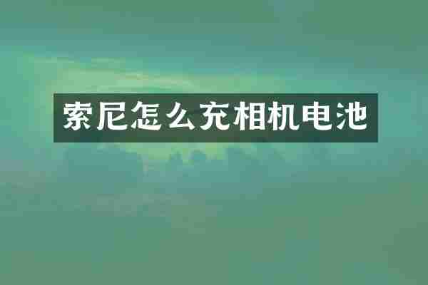 索尼怎么充相机电池