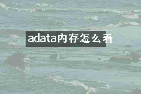 adata内存怎么看