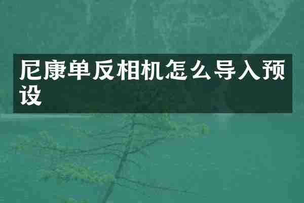 尼康单反相机怎么导入预设