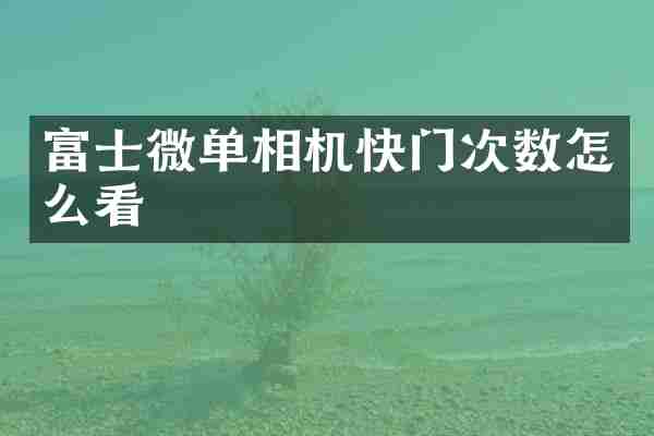 富士微单相机快门次数怎么看