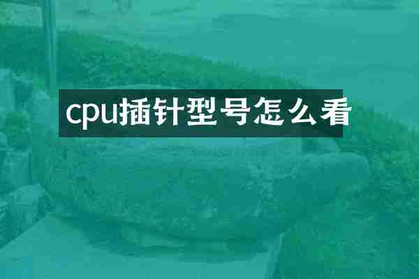 cpu插针型号怎么看