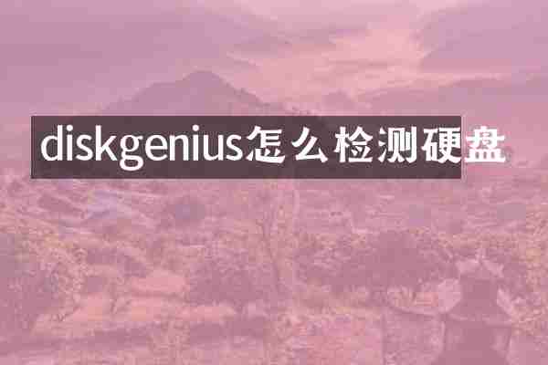 diskgenius怎么检测硬盘