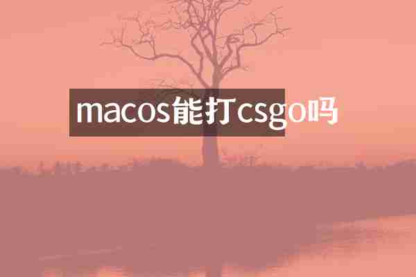 macos能打csgo吗