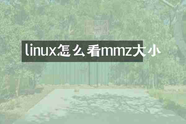 linux怎么看mmz大小