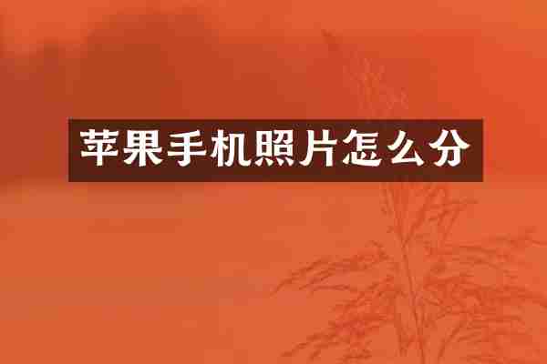 苹果手机照片怎么分