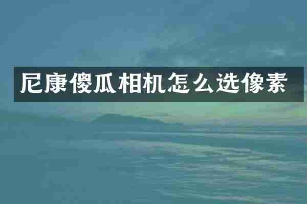 尼康傻瓜相机怎么选像素