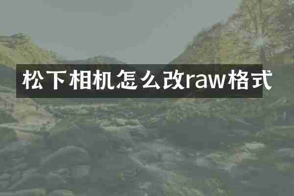 松下相机怎么改raw格式