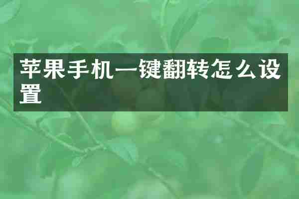 苹果手机一键翻转怎么设置
