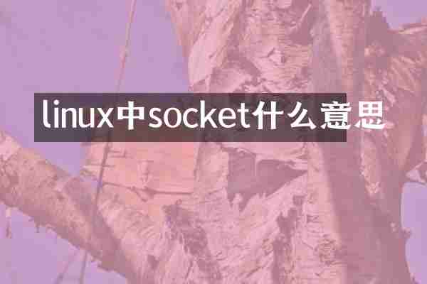 linux中socket什么意思