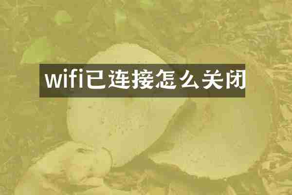 wifi已连接怎么关闭