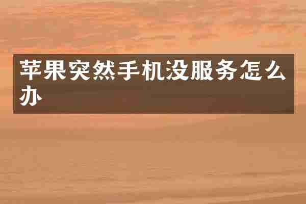 苹果突然手机没服务怎么办