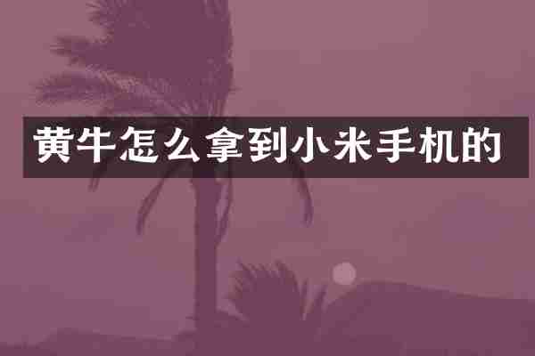 黄牛怎么拿到小米手机的