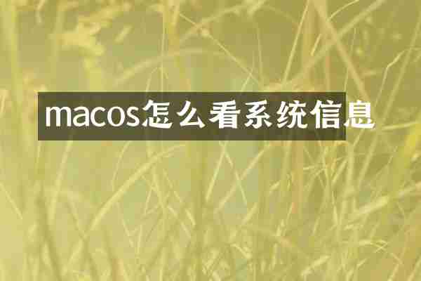 macos怎么看系统信息
