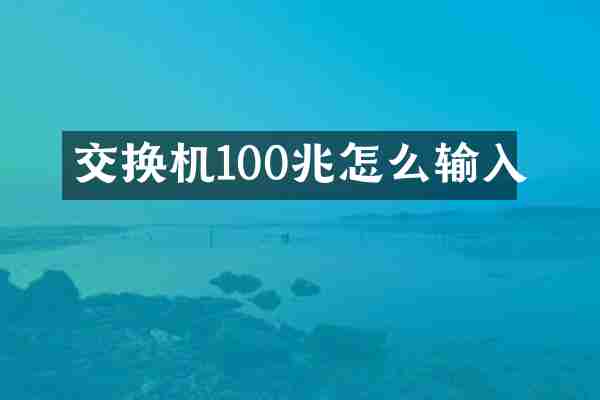 交换机100兆怎么输入