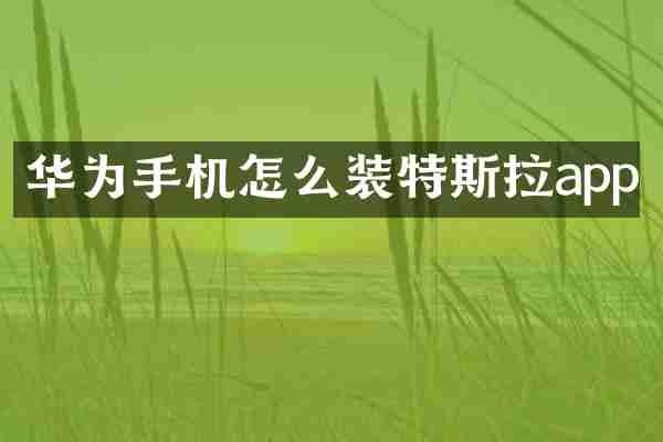 华为手机怎么装特斯拉app