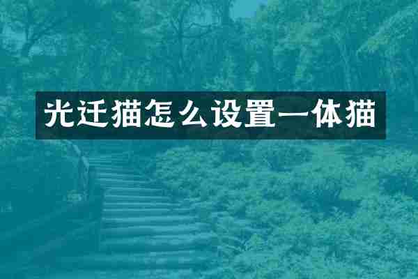 光迁猫怎么设置一体猫