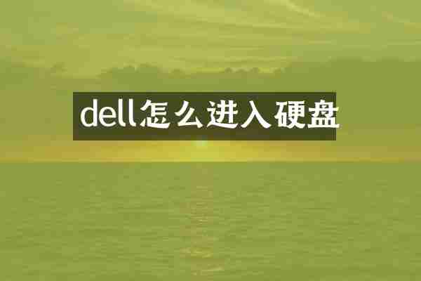 dell怎么进入硬盘