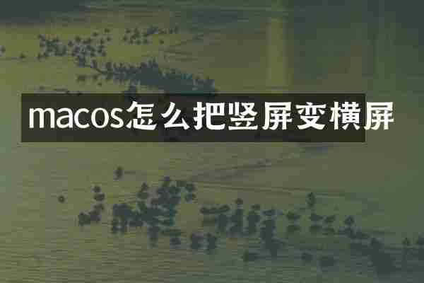 macos怎么把竖屏变横屏