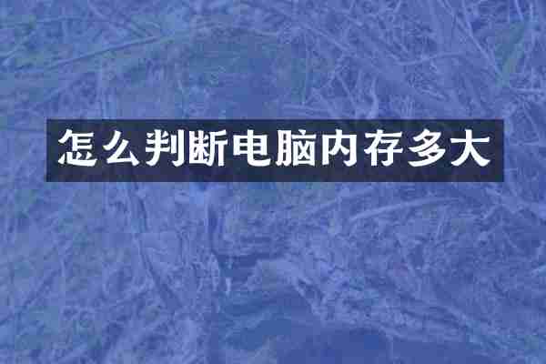 怎么判断电脑内存多大