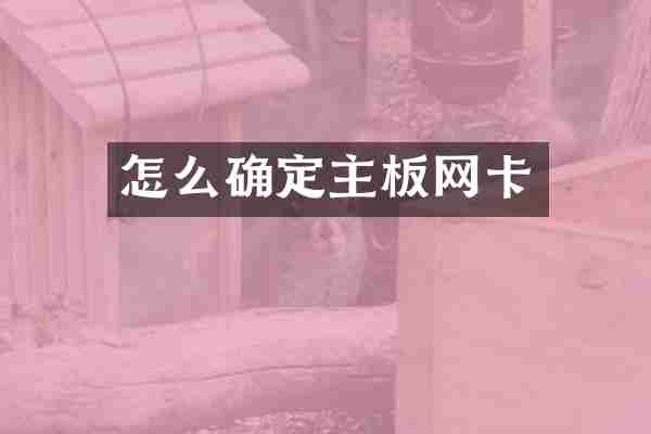 怎么确定主板网卡