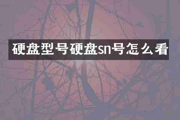 硬盘型号硬盘sn号怎么看