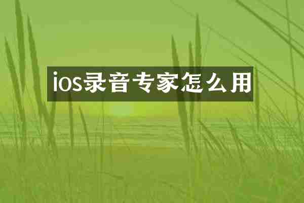 ios录音专家怎么用
