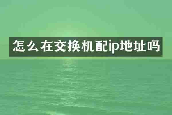 怎么在交换机配ip地址吗