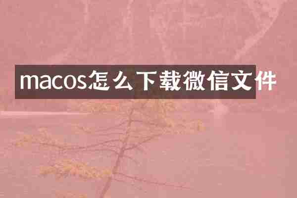 macos怎么下载微信文件