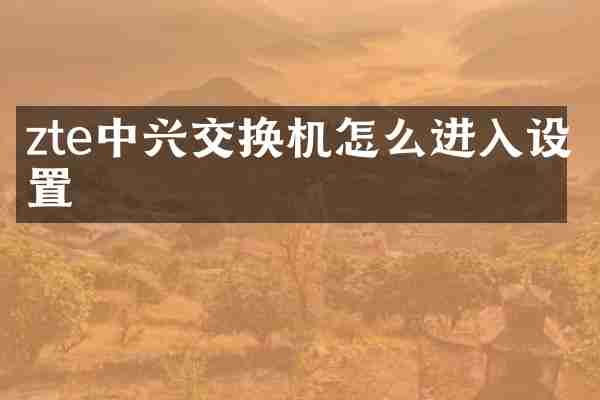 zte中兴交换机怎么进入设置