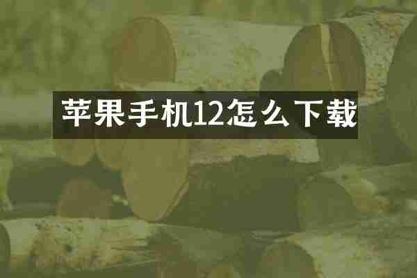 苹果手机12怎么下载
