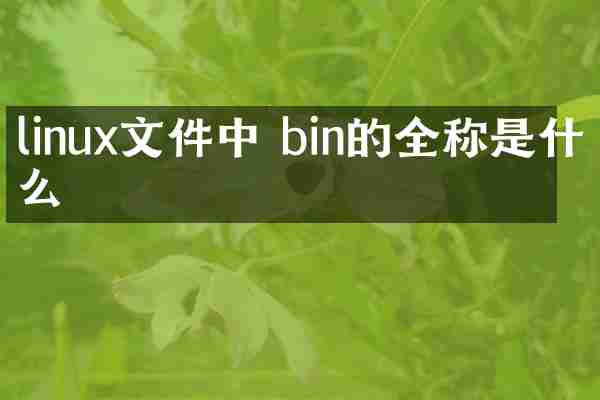 linux文件中 bin的全称是什么