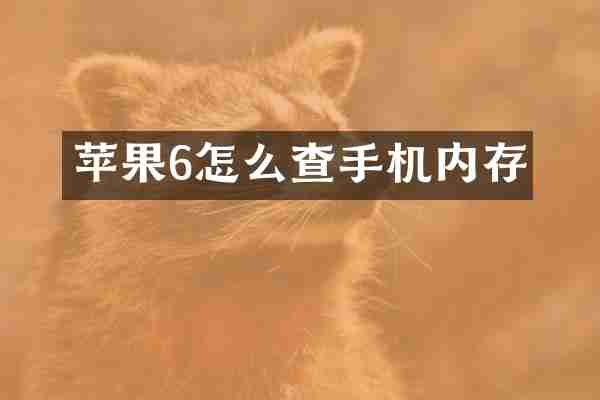 苹果6怎么查手机内存