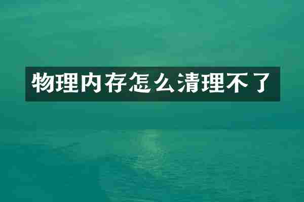 物理内存怎么清理不了