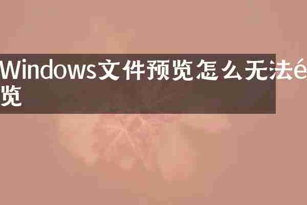 Windows文件预览怎么无法预览
