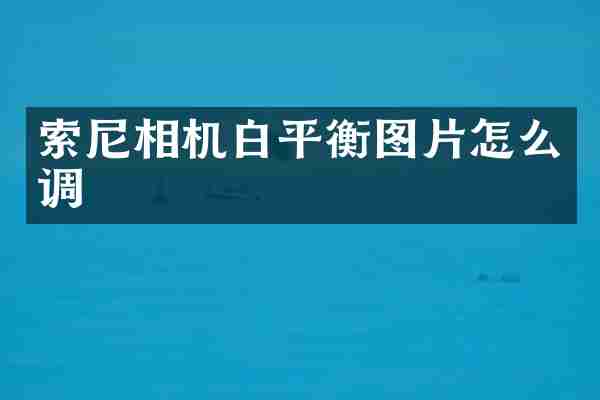 索尼相机白平衡图片怎么调