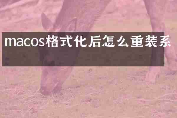 macos格式化后怎么重装系统