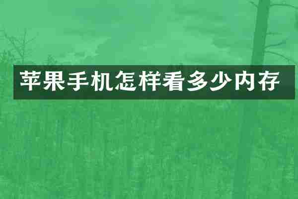 苹果手机怎样看多少内存