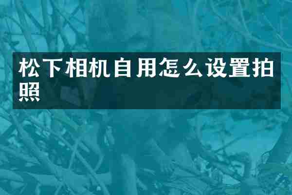 松下相机自用怎么设置拍照