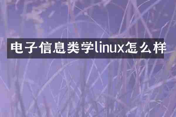 电子信息类学linux怎么样