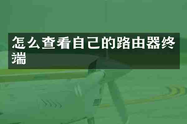 怎么查看自己的路由器终端