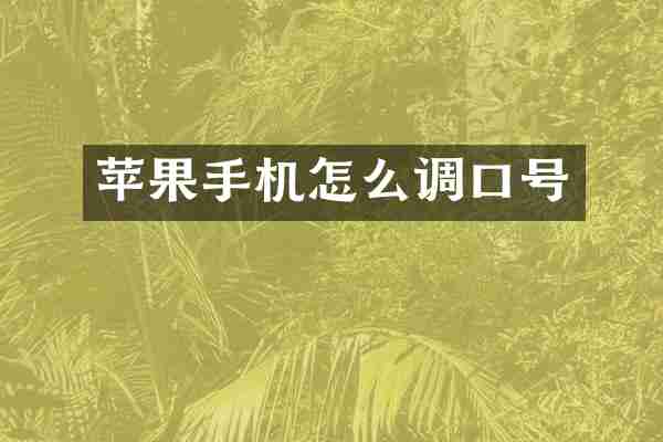 苹果手机怎么调口号