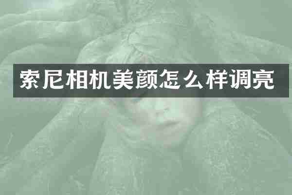 索尼相机美颜怎么样调亮