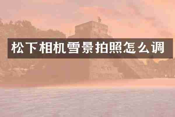 松下相机雪景拍照怎么调