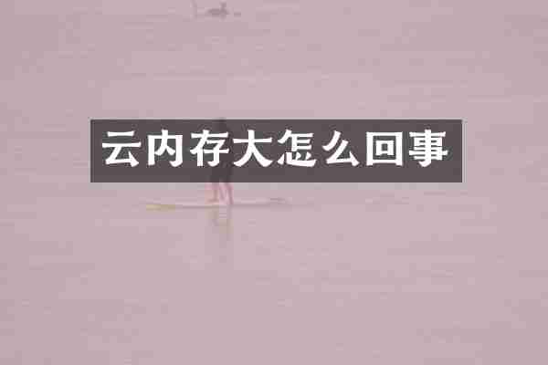 云内存大怎么回事