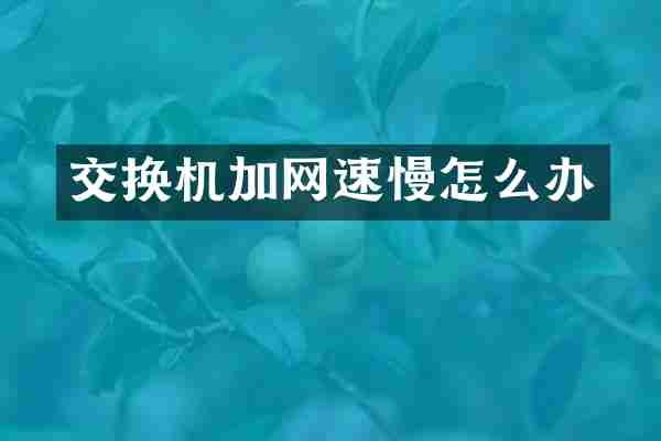 交换机加网速慢怎么办